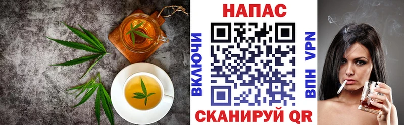 Купить закладки  Спасск  Cannafood конопля 