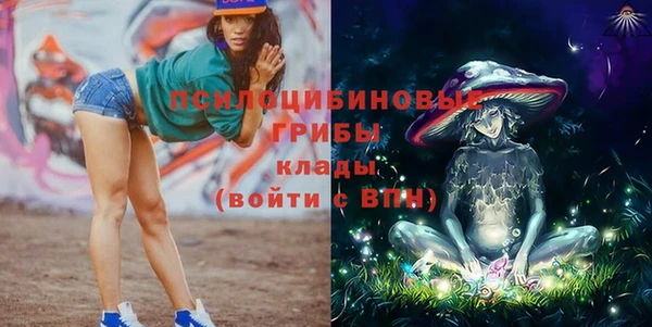 трава Заводоуковск
