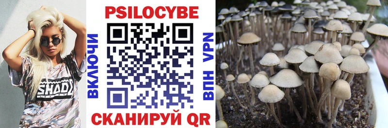 Купить  Спасск  Галлюциногенные грибы MAGIC MUSHROOMS 